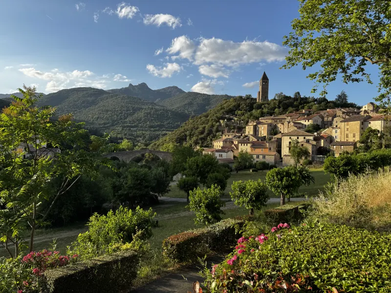 Wine country